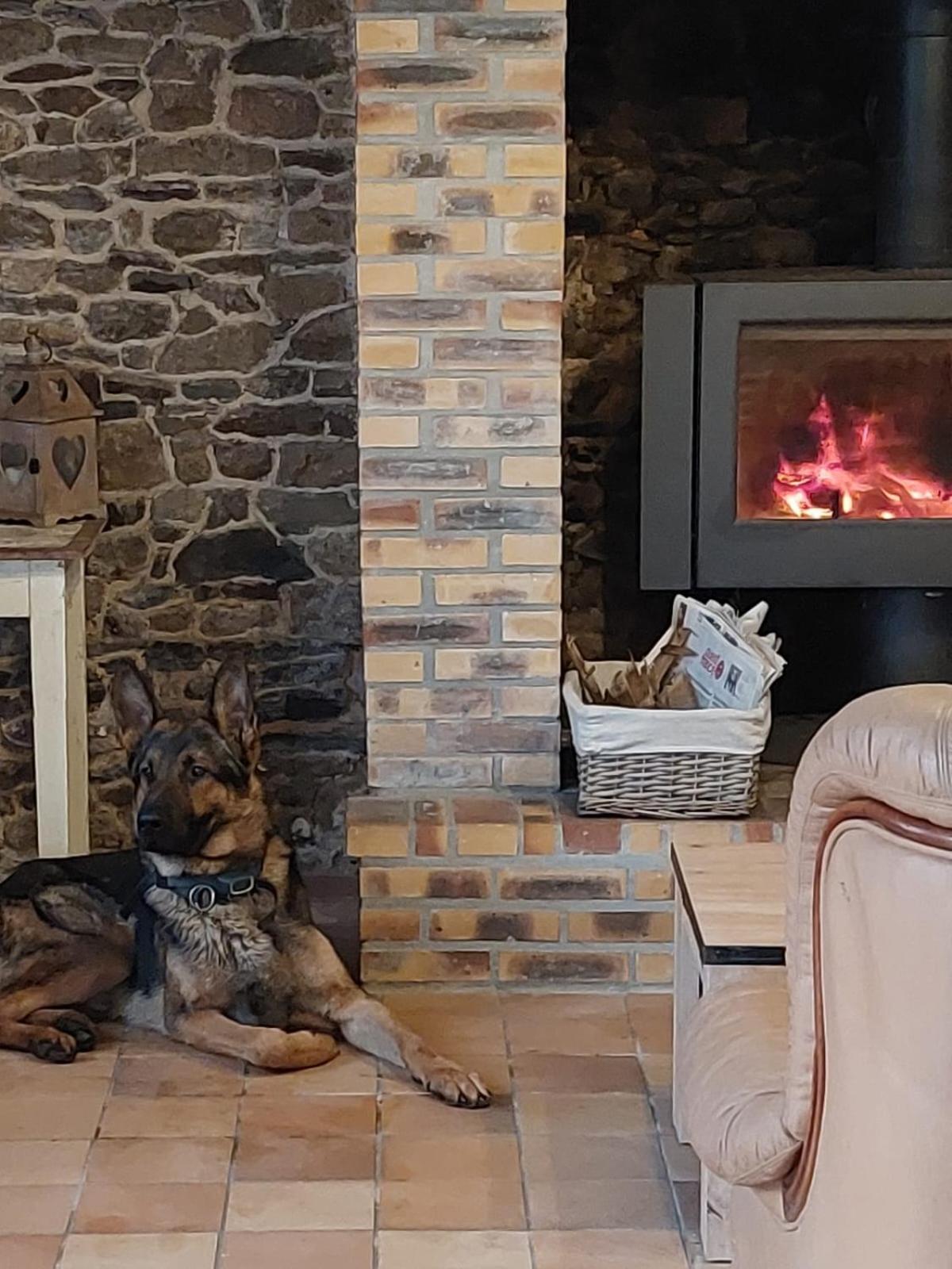 La Belangerie Villa Saint-Loup  Kültér fotó